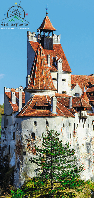 bran castle-320x675-final